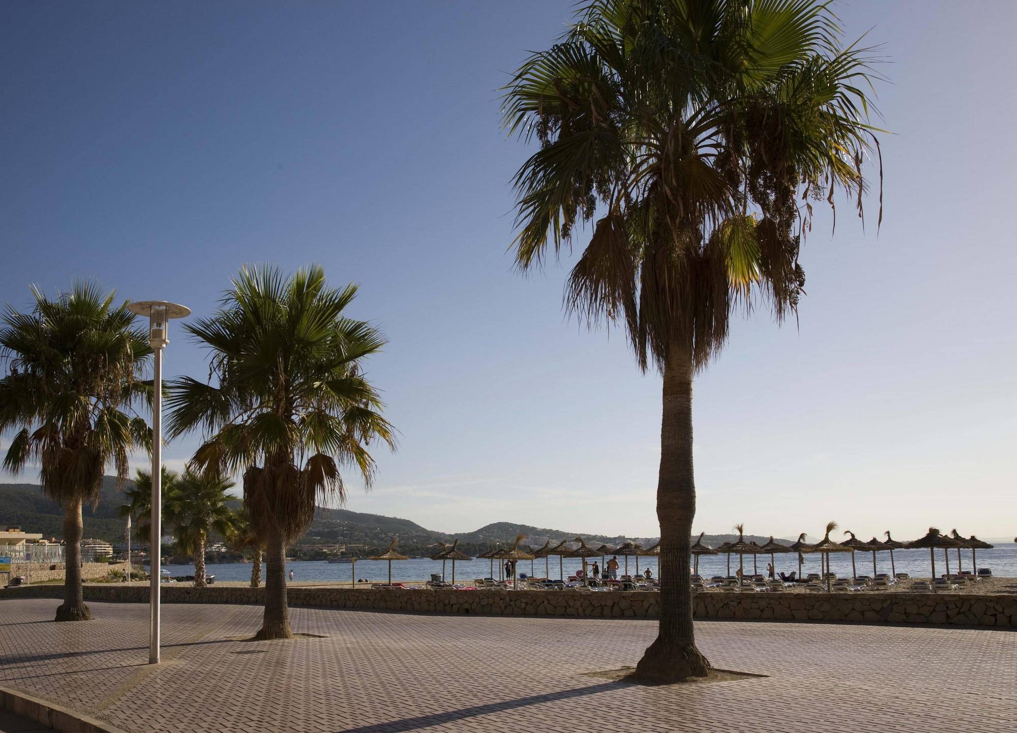 Hotel Globales Panama - Adults Only Palmanova